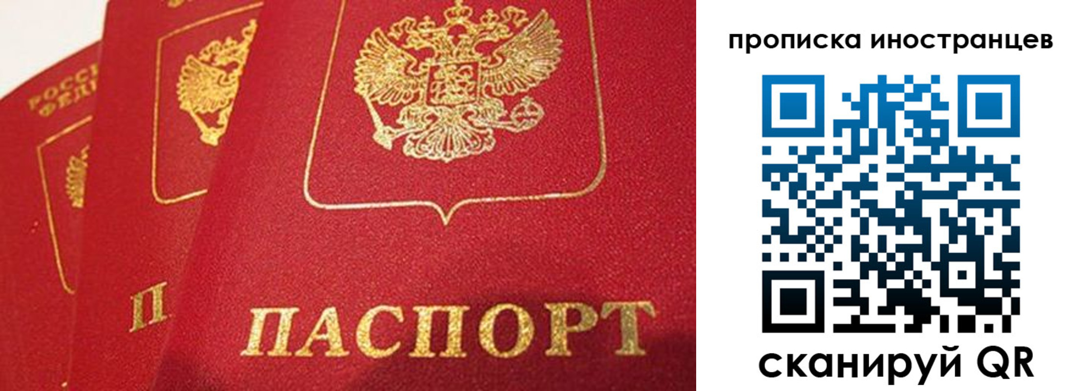 прописка поиск в Мариинском Посаде
